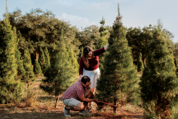 The Best Christmas Tree Farms to Visit This Holiday Season - Farm Flavor