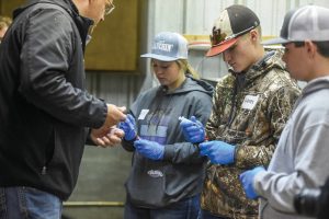 Ag Immersion Events with Innovative Livestock Services