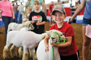 Ohio State Fair kid with sheep
