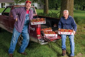 Greg McLaughlin and Tim Piper at McLaughlin Strawberry Farm in Murphysboro.