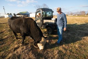 Tommy Gentry feeds his bull, Magic Man, on the farm in Chapel Hill, Tennessee.