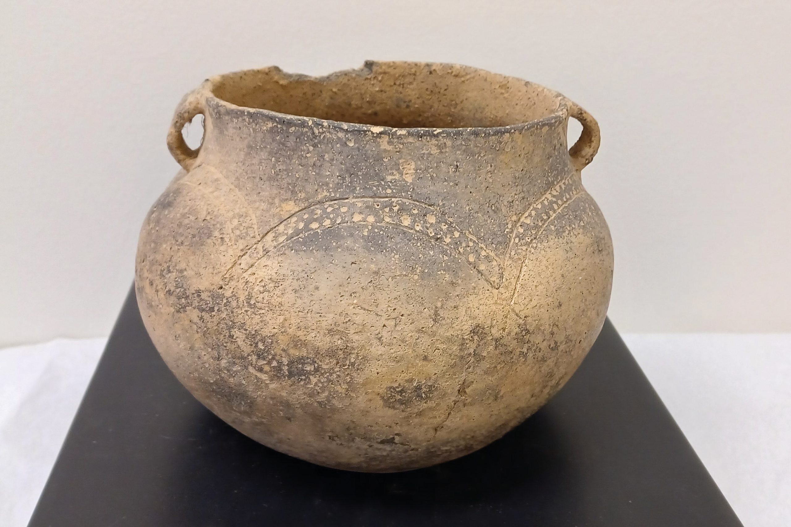 Tn Agriculture Museum