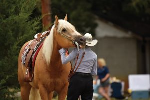 Germantown Charity Horse Show