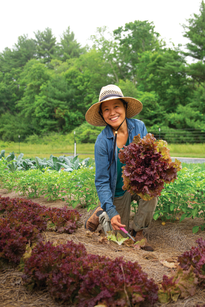 The Connecticut Dci Working Group Focuses On Inclusion Farm Flavor