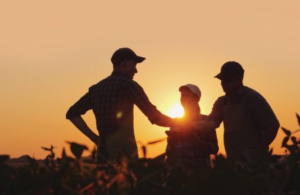 Three farmers in a field silhouetted by the sunset