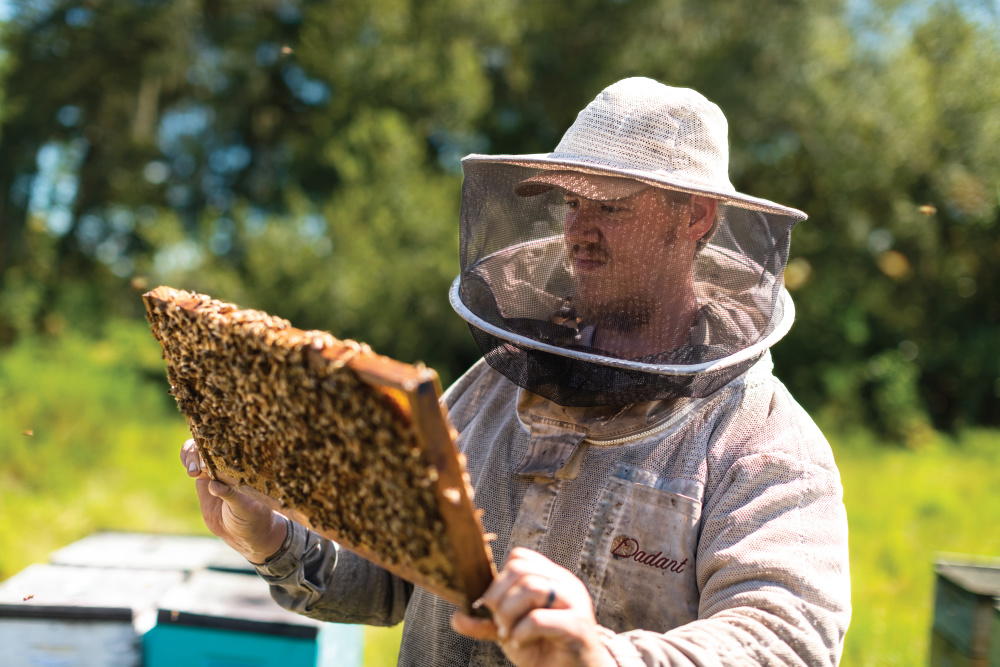 Ohio Beekeepers Find Different Ways to Get Hives Through the