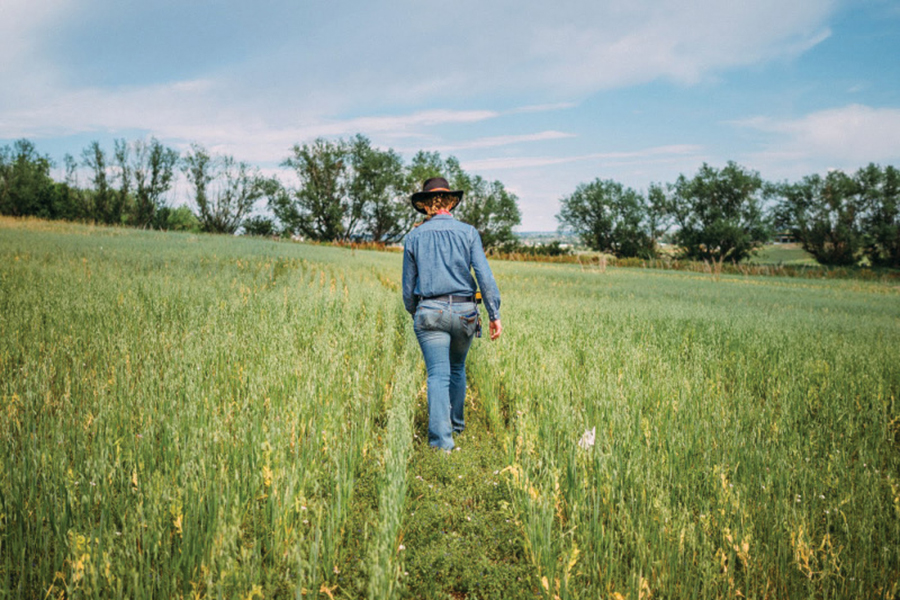 Focusing on Soil Health Helps Colorado Farmers Adapt to Climate Changes