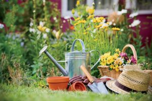 how to save money gardening