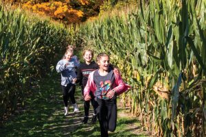 Knollbrook Farm in Goshen welcomes visitors for fall favorites including a corn maze, a U-pick pumpkin patch and more.