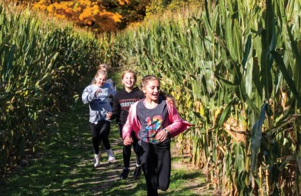 Knollbrook Farm in Goshen welcomes visitors for fall favorites including a corn maze, a U-pick pumpkin patch and more.