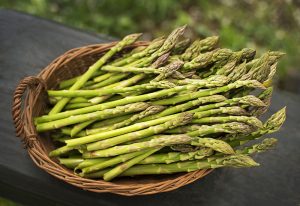 asparagus is a perennial vegetable
