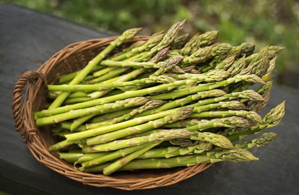 asparagus is a perennial vegetable