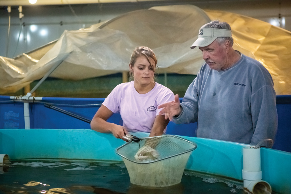 Indiana’s Inland Shrimping Solutions Provide a Deliciously Sustainable
