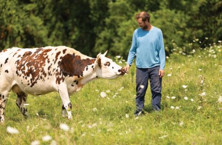 Sean Stanton petting one of his cows at North Plain Farm, one of the Massachusetts producers focus on climate smart farming