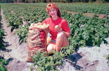 Susan Deen in a Florida potato field