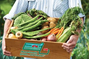 Box of produce from Massachusetts Grown and Fresher