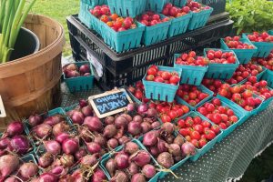 Massachusetts farmers market programs help combat food insecurity in the state