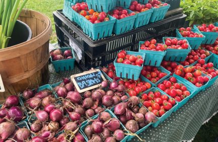 Massachusetts farmers market programs help combat food insecurity in the state