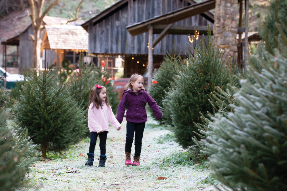 Wilson Glyn Christmas Tree Farm in Tennessee Creates Lasting Holiday