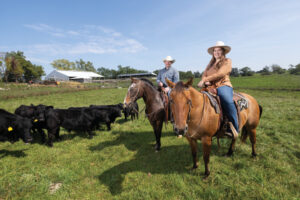 Matt and Kathleen Noggle on their horses with cattle in the background