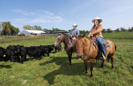 Matt and Kathleen Noggle on their horses with cattle in the background
