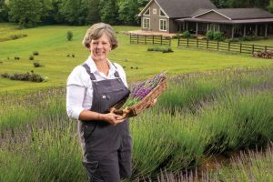 Jeannie Miller grows nine varieties of lavender at Midfield Lavender Farm in Bulls Gap