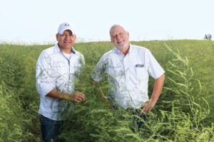 Joe Prado and Dave Hansen in an asparagus field