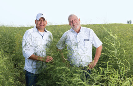 Joe Prado and Dave Hansen in an asparagus field