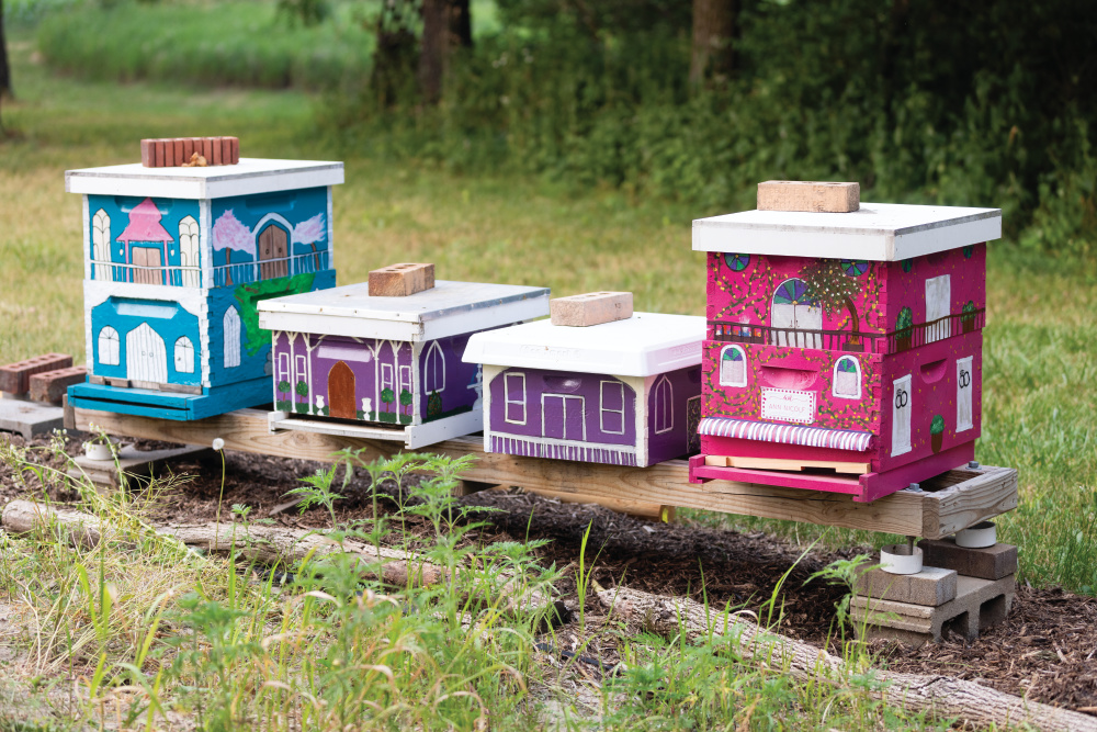 About 20 brightly decorated hives make up “bee village” at Wild Harvest Honey Farm. 