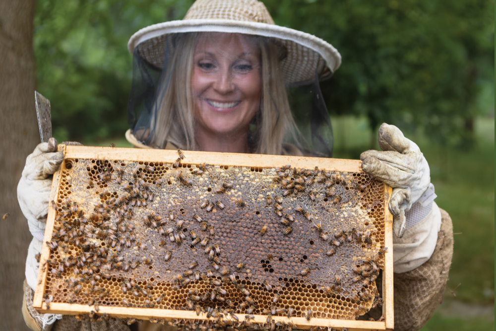 Illinois beekeeper Amber Rutledge creates an oasis for bees at Wild Harvest Honey Farm in Heyworth. Photo credit: Jeff Adkins