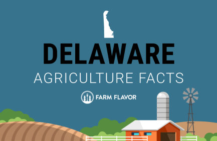 Delaware Agriculture - Farm Flavor