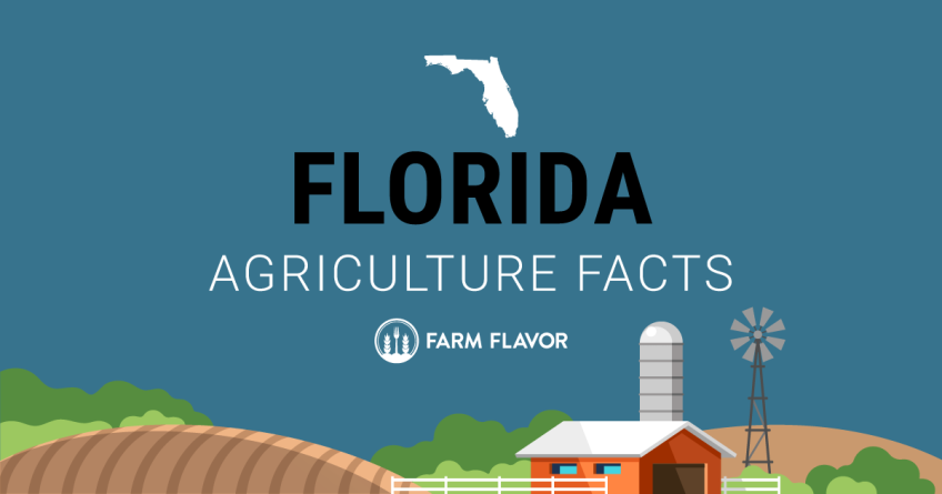 Fresh From Florida 2016 - Farm Flavor