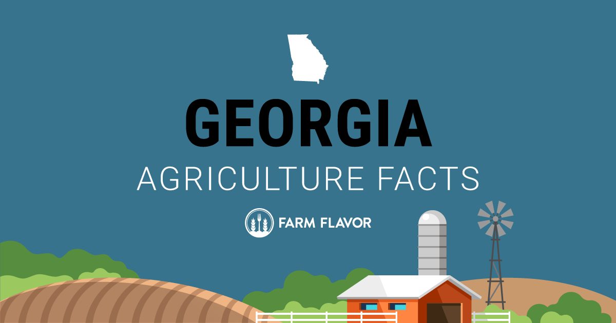 Top Agriculture Facts From the 2024 Census of Agriculture