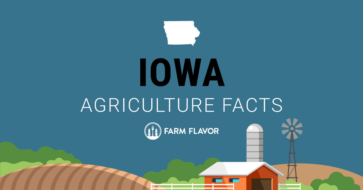 Top Iowa Agriculture Facts From the 2024 Census of Agriculture Farm