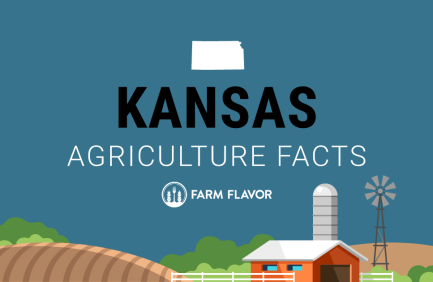 2024 Census of Ag Thumbnail Kansas - Farm Flavor