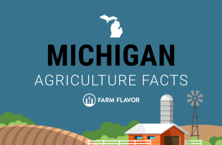 2024 Census of Ag Thumbnail Michigan - Farm Flavor