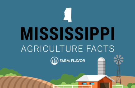 2024 Census of Ag Thumbnail Mississippi - Farm Flavor