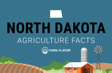 2024 Census of Ag Thumbnail North Dakota - Farm Flavor