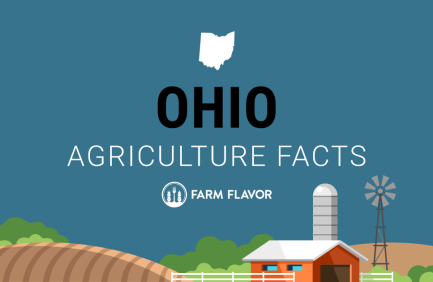 2024 Census of Ag Thumbnail Ohio - Farm Flavor