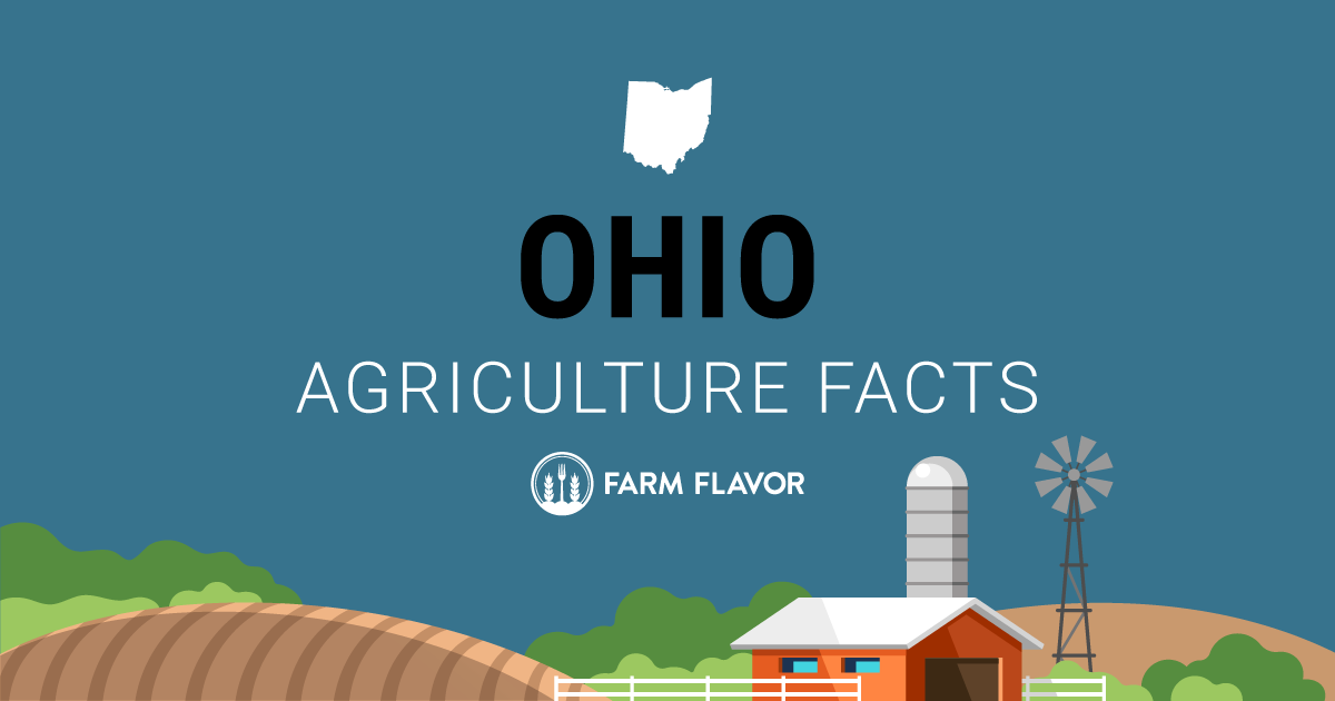 Top Ohio Agriculture Facts From the 2024 Census of Agriculture - Farm ...