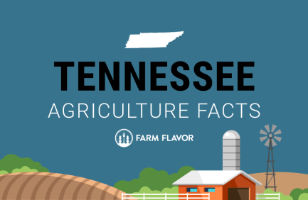 2024 Census of Ag Thumbnail Tennessee - Farm Flavor