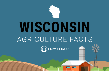 Wisconsin Agriculture - Farm Flavor