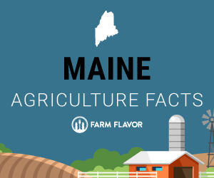 Maine Agriculture - Farm Flavor