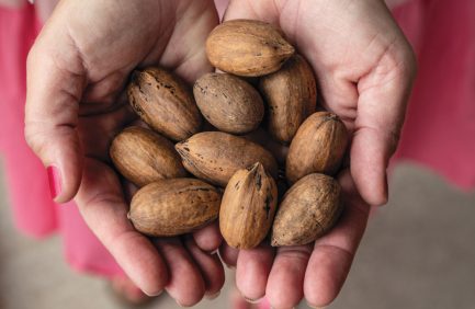 Texas pecans