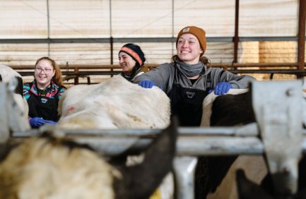 At Colorado State University, curriculum has adapted to meet changing needs and help recruit potential veterinarians for rural areas.