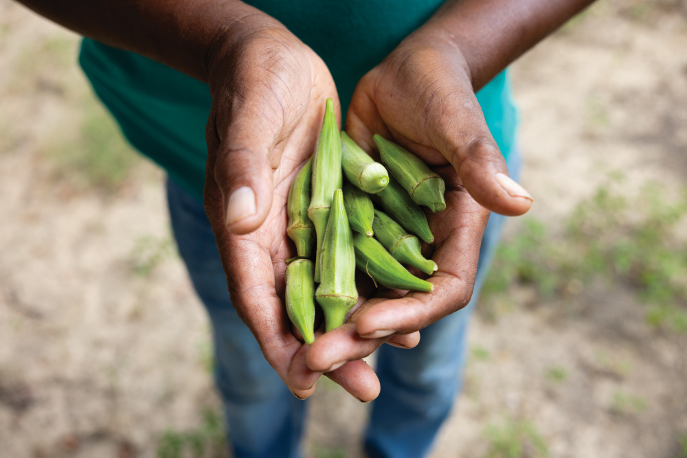 James Brewer grows vegetables for local food banks on his farm near Greenwood.