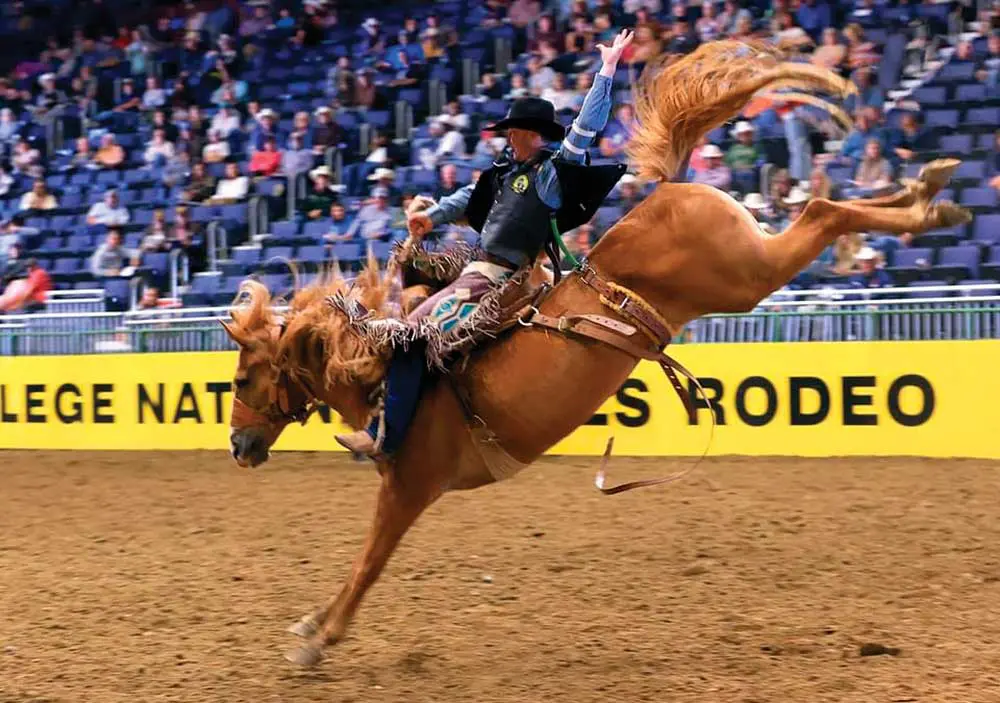 Southern Idaho’s Beloved Rodeo Tradition Endures - Farm Flavor