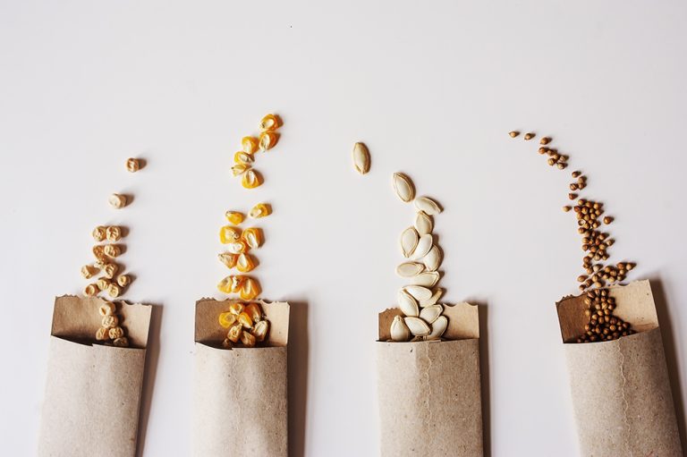 Cherokee Nation Embraces Seed Saving to Preserve and Promote Culture