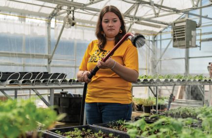 High schoolers like Allison Christoffersen at the STEAD School in Commerce City enjoy a project-based, agricultural focused curriculum.