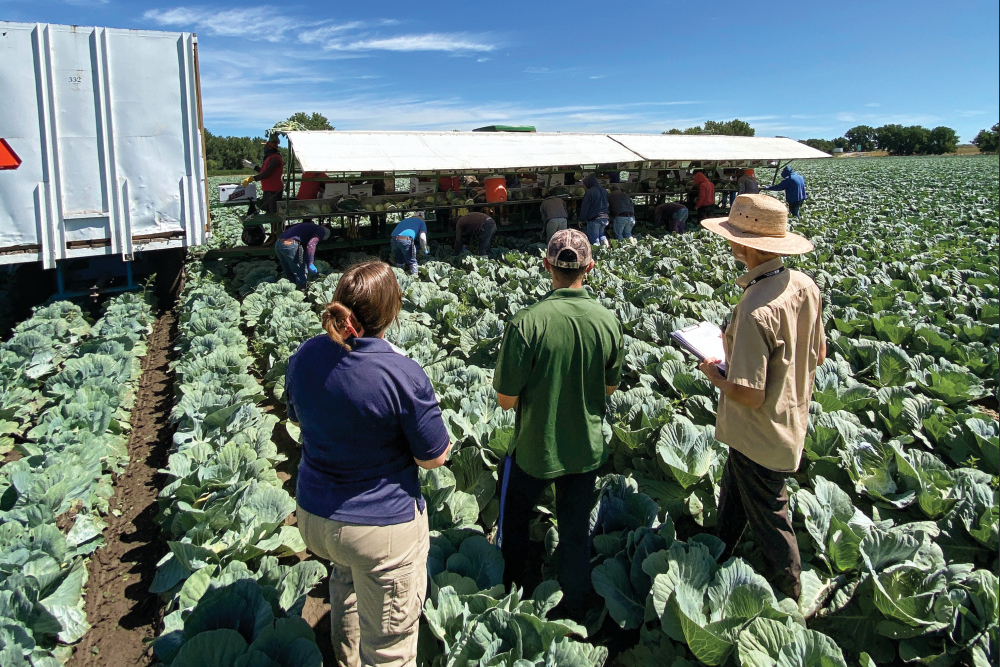 Colorado Department of Agriculture Works to Protect the Food on Your ...